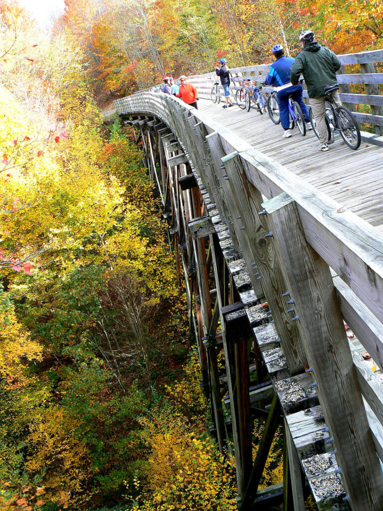 High Trestle on Creeper Trail
Wikimedia
Link: https://upload.wikimedia.org/wikipedia/commons/thumb/d/df/Creepertrail2.jpg/800px-Creepertrail2.jpg