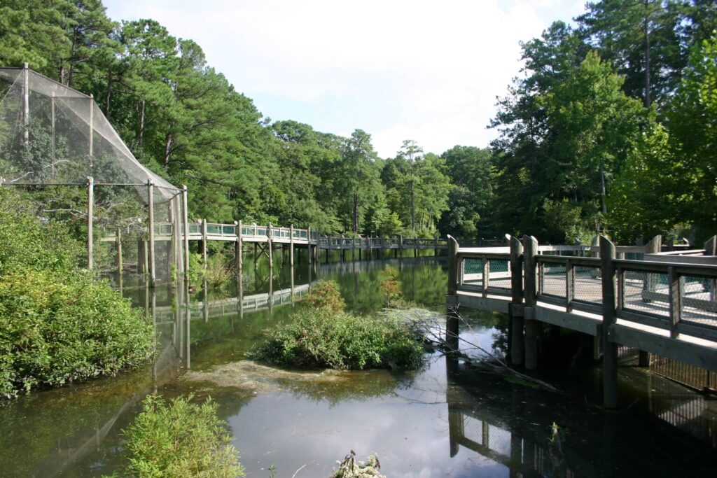 Outdoor Exhibits at the Virginia Living Museum
Wikimedia
Link: https://upload.wikimedia.org/wikipedia/commons/thumb/f/f9/Outdoor_Exhibits_at_the_Virginia_Living_Museum_%283673782856%29.jpg/1280px-Outdoor_Exhibits_at_the_Virginia_Living_Museum_%283673782856%29.jpg