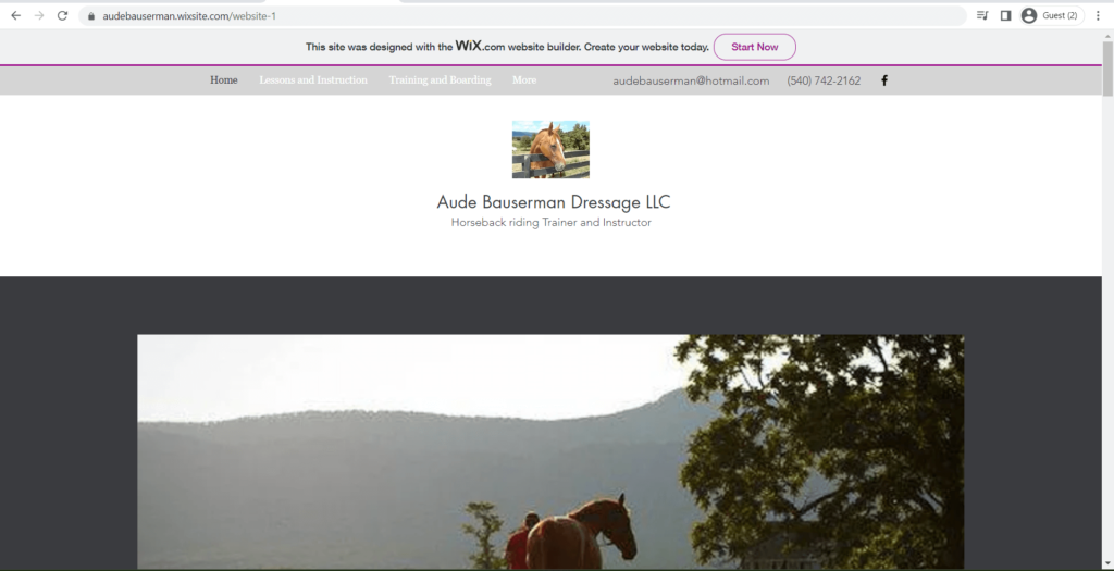 Homepage of Aude Bauserman Dressage LLC's website
Link: https://audebauserman.wixsite.com/website-1