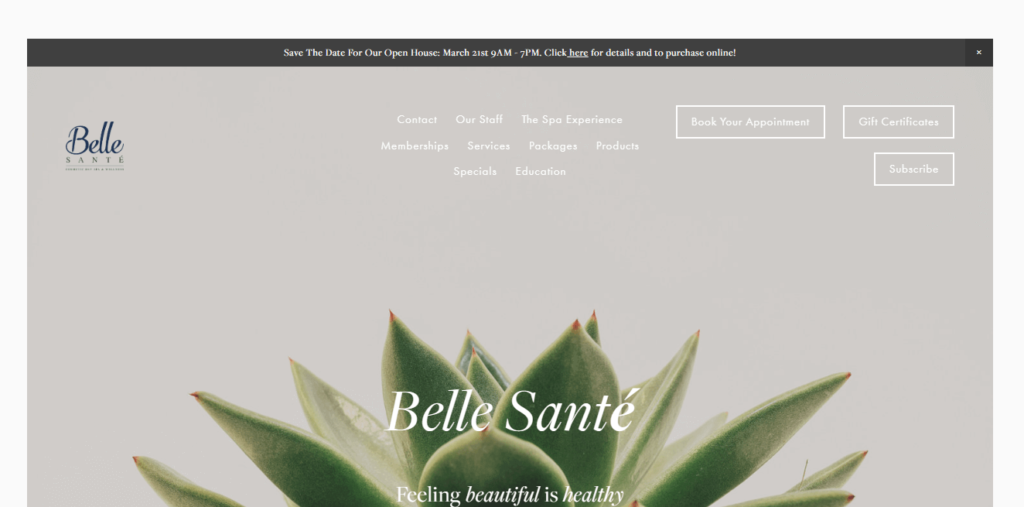 Homepage of Belle Sante Spa / bellesantespa.com
