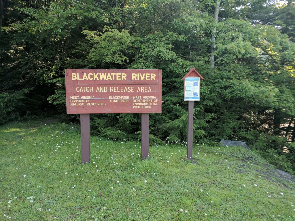 Blackwater River in Blackwater Falls State Park
Wikimedia
Link: https://upload.wikimedia.org/wikipedia/commons/thumb/0/01/Blackwater_Falls_State_Park_WV_10.jpg/1024px-Blackwater_Falls_State_Park_WV_10.jpg