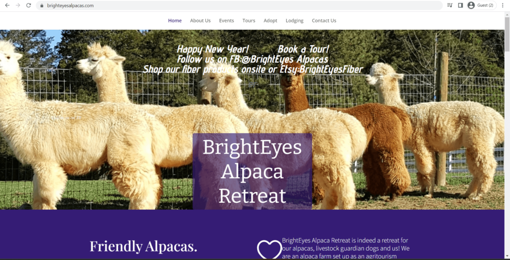 Homepage of BrightEyes Alpacas Retreat's website
Link: https://brighteyesalpacas.com/