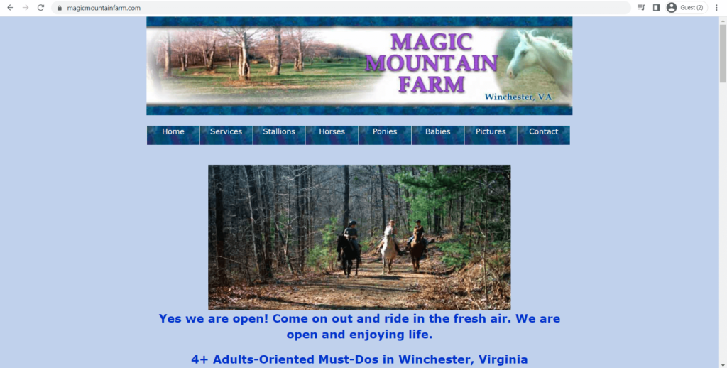 Homepage of Magic Mountain Farms' website
Link: https://magicmountainfarm.com/