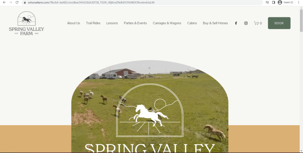 Homepage of Spring Valley Farm's website
Link: https://www.svhorsefarm.com/?fbclid=IwAR2cJmJdkwOHhSGXxh30T5B_T5DR_rXljKmiZNdhDOY6tWDORvJeImbSaLM