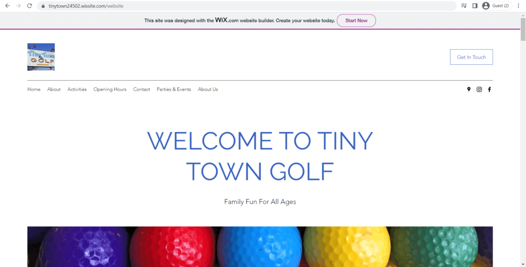Homepage of Tiny Town Golf's website
Link: https://tinytown24502.wixsite.com/website