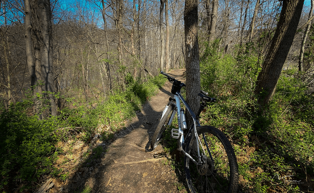 Trail view of Quarry Ridgeline / Flickr /Clifton Turman
Link: https://flic.kr/p/2iK9eZw