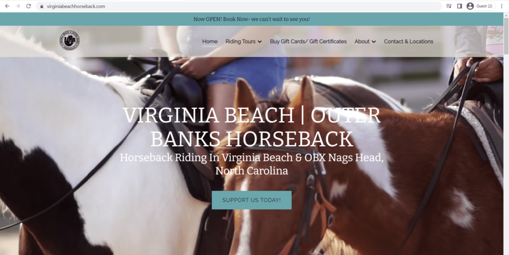 Homepage of Virginia Beach | (OBX) Horseback's website
Link: https://www.virginiabeachhorseback.com/