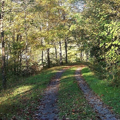 Beautiful Forest View of Greenbrier River Trail / Wikipedia / WVhybrid
Source Link: https://en.wikipedia.org/wiki/File:G_R_T_2004_Trail_Below_Marlinton.JPG