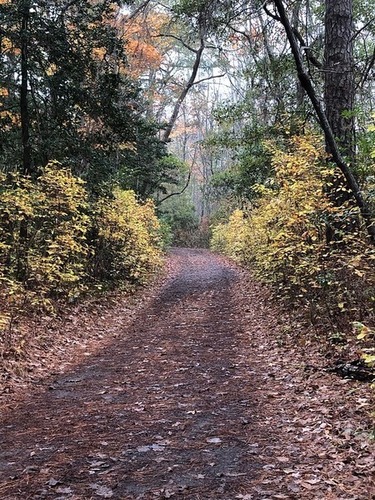 Bike Trail of Cape Henry Trail / Flickr / Virginia State Parks
Link: https://flic.kr/p/2kUfQez